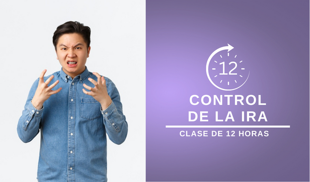 Clase de manejo de ira de 12 horas