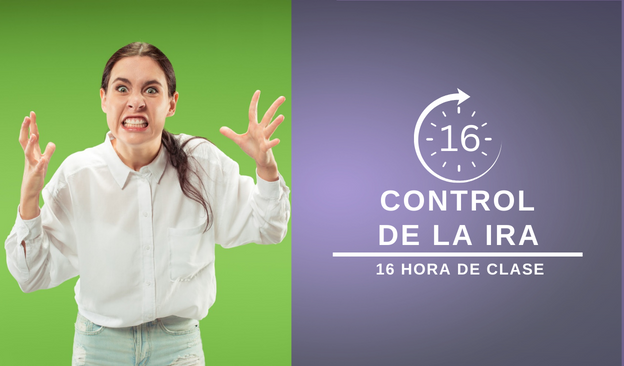 Clase de manejo de ira de 16 horas