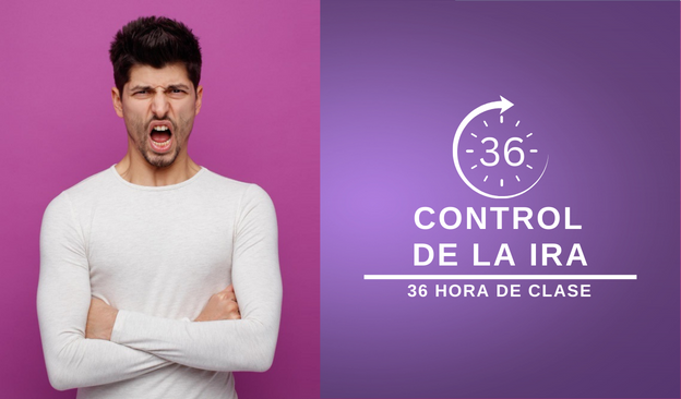Clase de manejo de ira de 36 horas