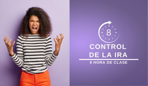 Clase de manejo de ira de 8 horas