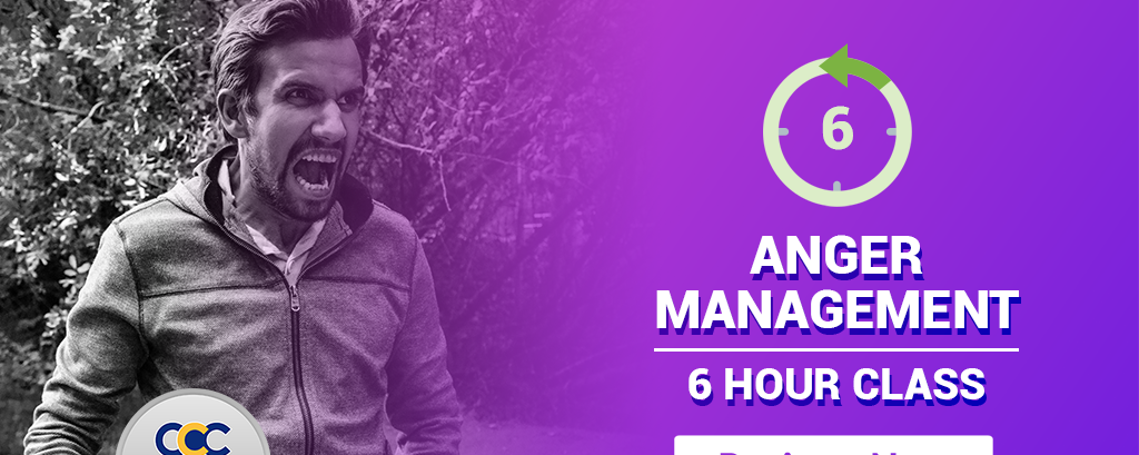 6 Hour Anger Management Class Online