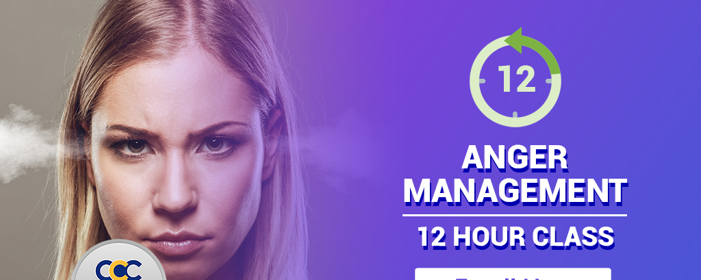 12 Hour Anger Management Class Online