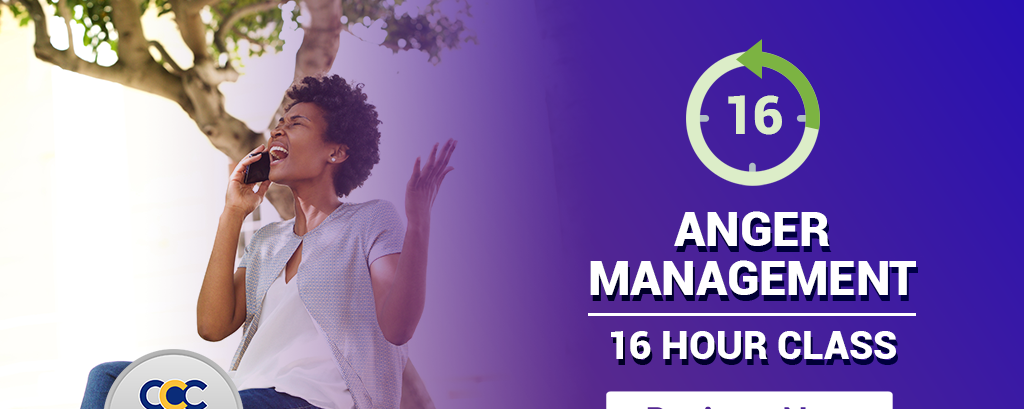 16 Hour Anger Management Class Online