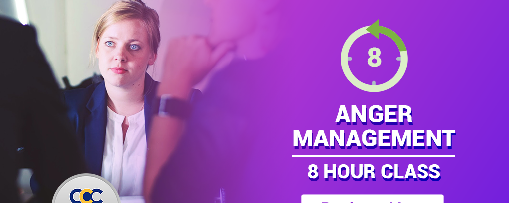 8 Hour Anger Management Class Online