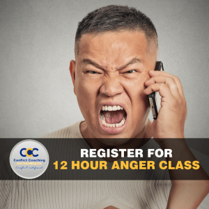 12 hour online anger management class