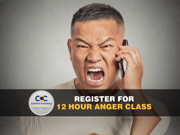 12 hour online anger management class