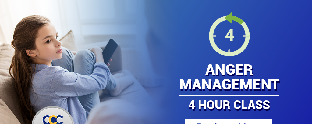 4 Hour Anger Management Class Online