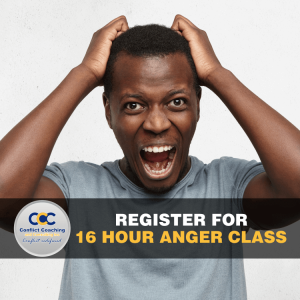 16 hour online anger management class
