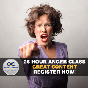 26 hour online anger management class