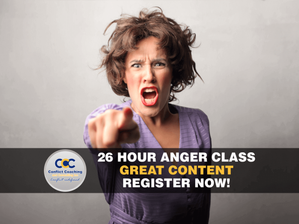 26 hour online anger management class