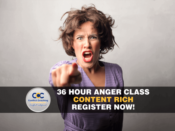 36 hour online anger management class