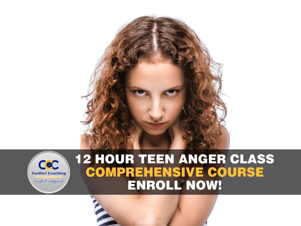12-hour-teen-online-anger-management-class
