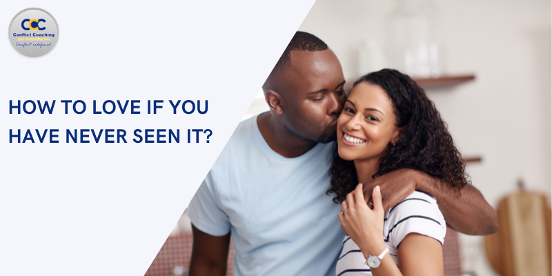 How to Love If You Have Never Seen It