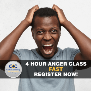 4 hour online anger management class
