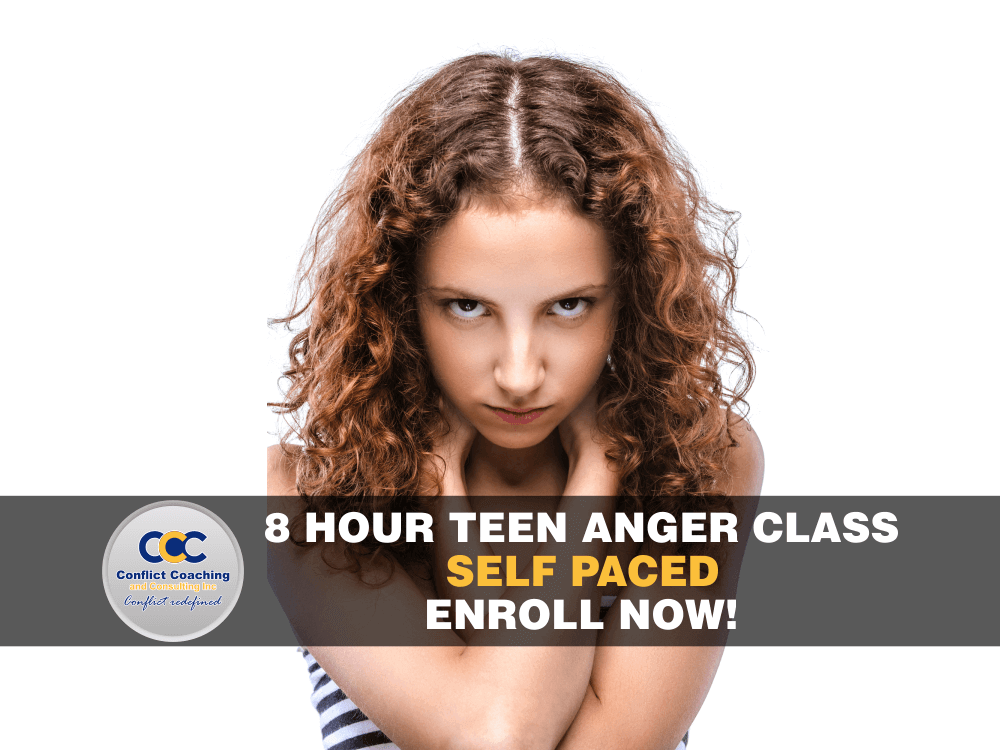 8 Hour Teen Anger Management Class Mastering Anger 0944