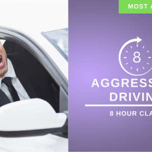 8 hour reckless aggressive driving class