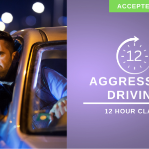 12 hour reckless aggressive driving course