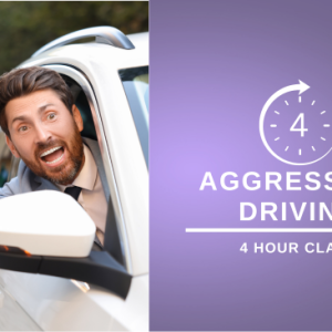 4 hour reckless aggressive driving course