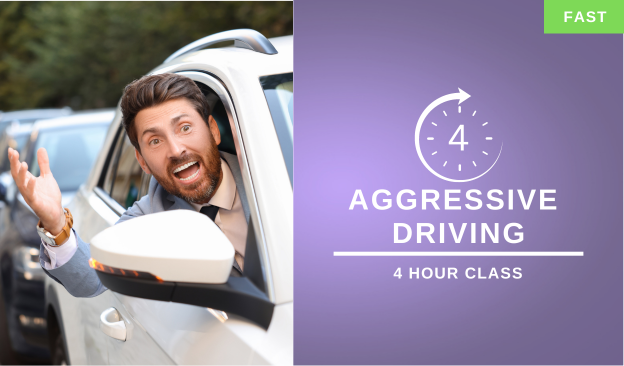 4 Hour Aggressive Driving Course