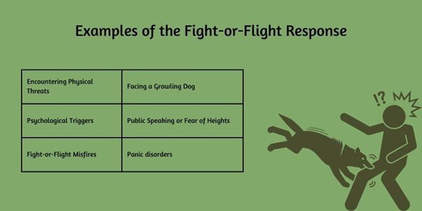 Examples of the fight or flight Response