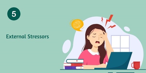 External Stressors