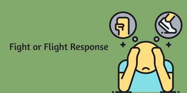 Fight or Flight Response: Definition, Response, Examples, & How to Calm?