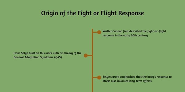 Origin of the Fight or Flight Response