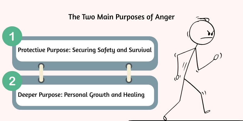 two main purposes of anger