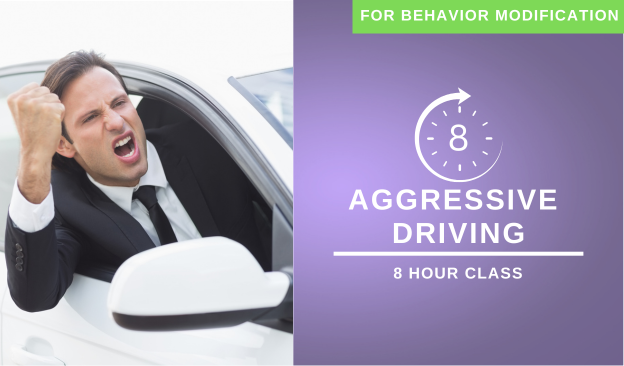 8 hour aggressive driving course