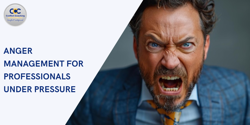 Anger Management for Professionals: Compliance Solutions